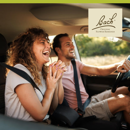 Bach Mustard Flower Remedy - Non-Alcohol Formula | Be Joyful 10mL