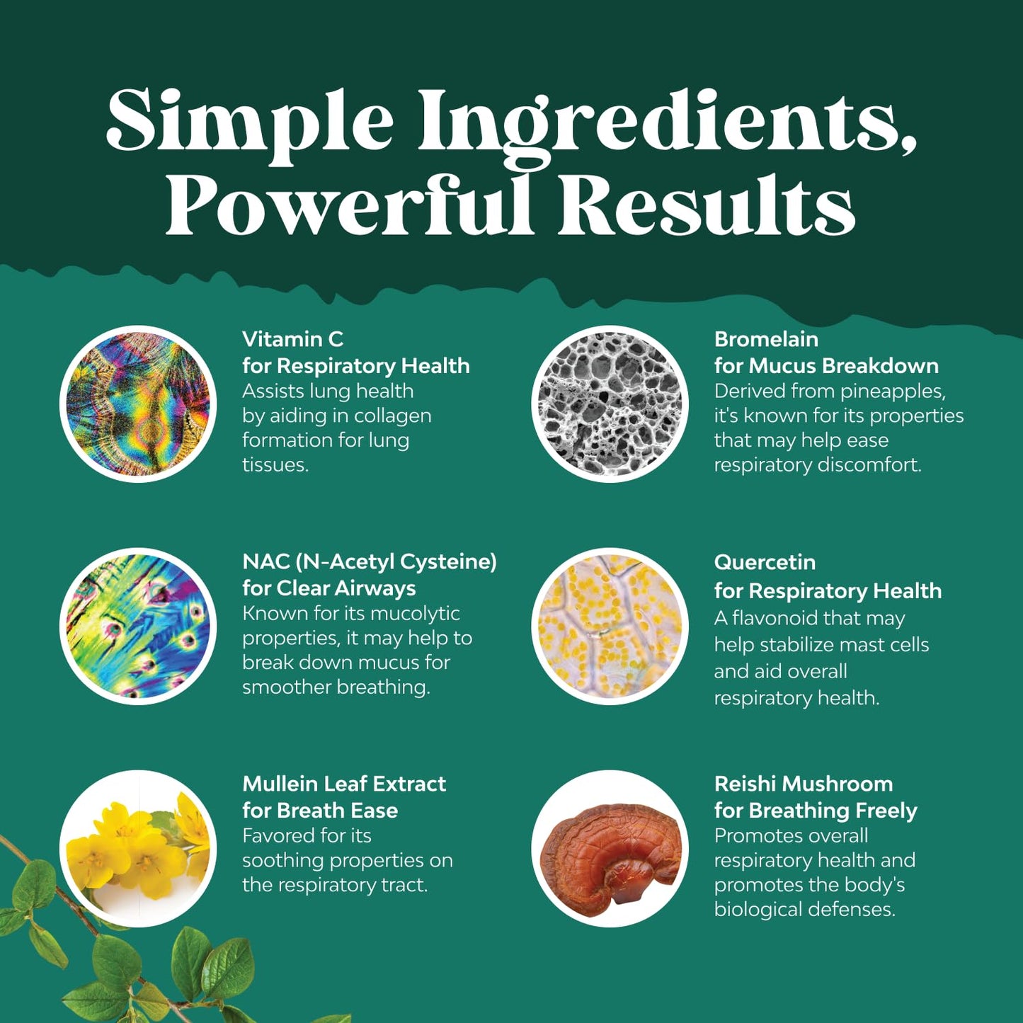 Organic Oregano Oil Drops - Super Concentrated Carvacrol 60% for Digestion & Immune Support - 30 mL