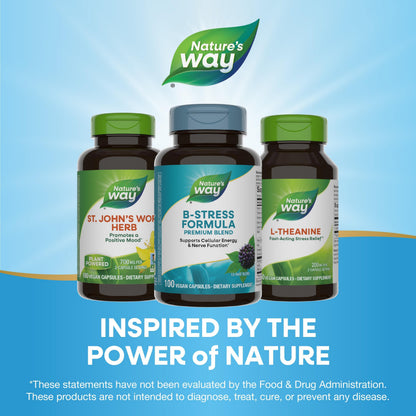 Nature's Way Vitamin C with Rose Hips - 1000 mg Immune Support (2-Pack)