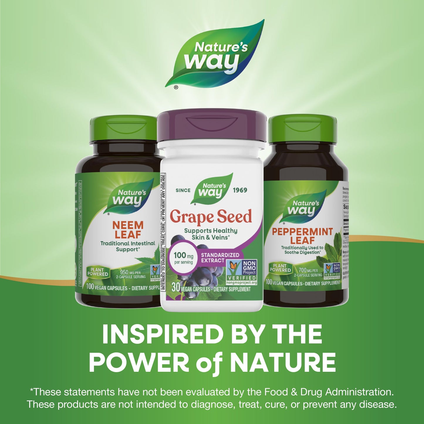 Nature's Way Grape Seed Standardized Extract – Supports Healthy Skin and Veins, Antioxidant Support, Non-GMO, Vegan, 30 Capsules
