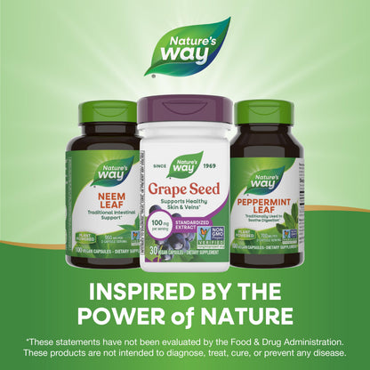 Nature's Way Grape Seed Standardized Extract – Supports Healthy Skin and Veins, Antioxidant Support, Non-GMO, Vegan, 30 Capsules