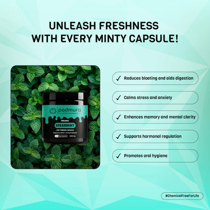 PADMURA Organic Spearmint Powder Capsules 1000mg | USDA Organic Certified | Non GMO | Gluten Free | Vegan - 120 Veg Capsules
