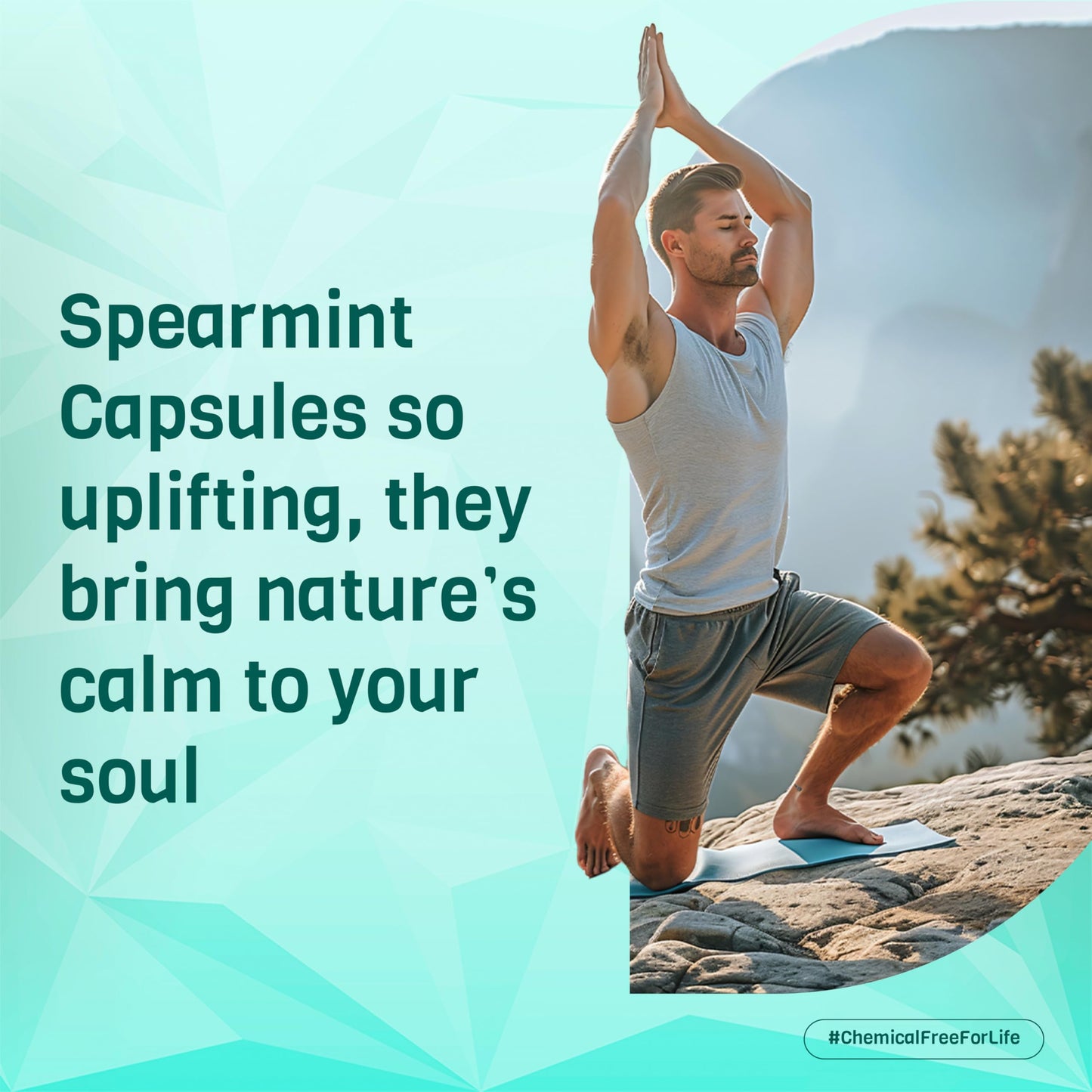 PADMURA Organic Spearmint Powder Capsules 1000mg | USDA Organic Certified | Non GMO | Gluten Free | Vegan - 120 Veg Capsules