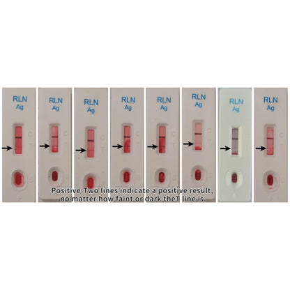 Dog Pregnancy Test Kit at Home - No Blood Draw, 5-Min Results, 98% Reliable