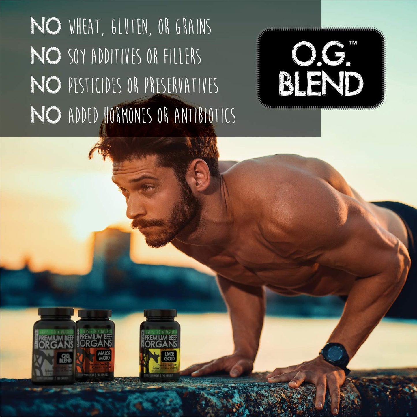 Paleo Pro O.G. Blend Beef Organs Capsules – Kidney, Heart, Liver, Spleen & Pancreas | Grass-Fed & Pastured