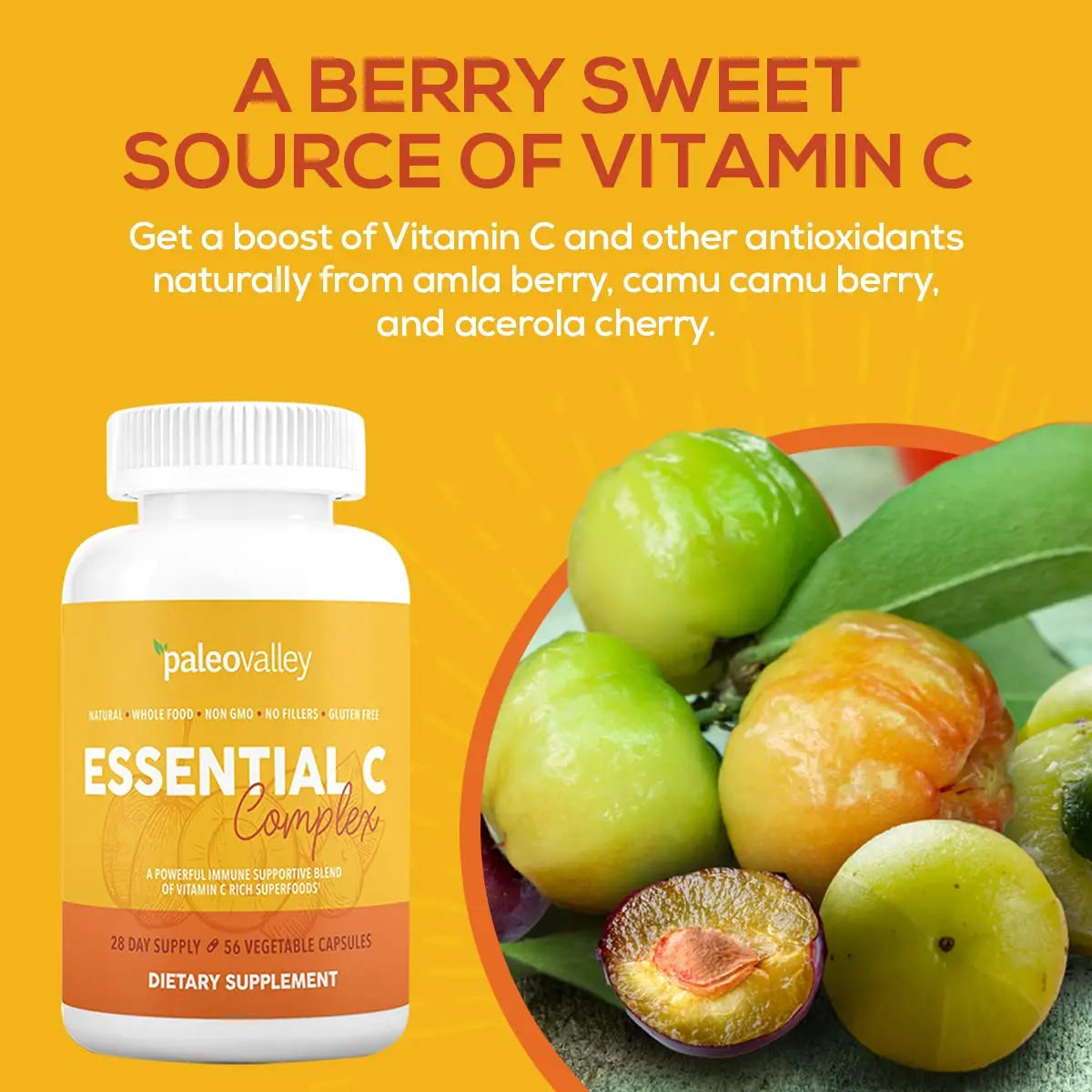 Paleovalley Essential C Complex – Organic Vitamin C from Acerola, Camu Camu & Amla – USA Made BritishVita | Premium UK Vitamins & Wellness Supplements