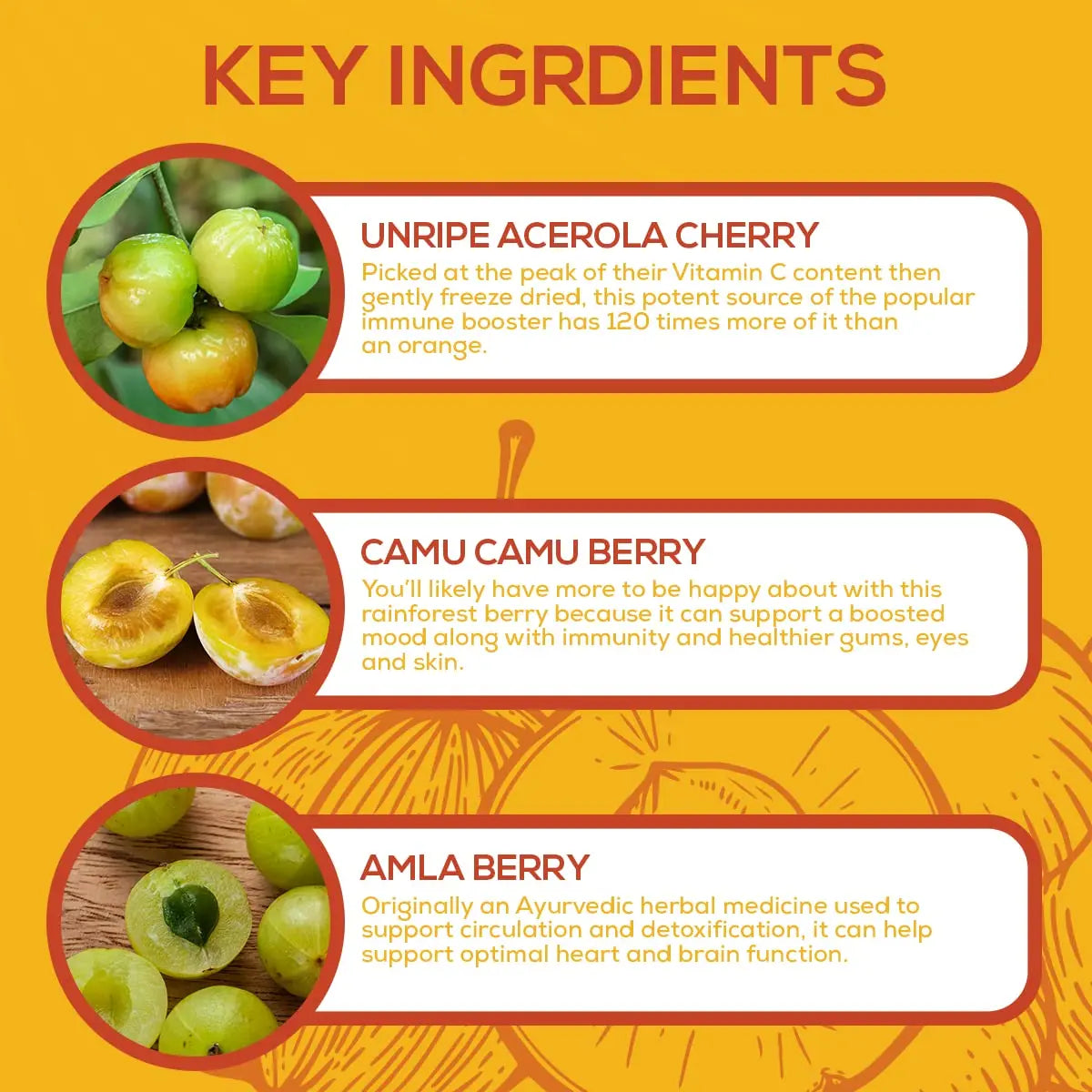 Paleovalley Essential C Complex – Organic Vitamin C from Acerola, Camu Camu & Amla – USA Made BritishVita | Premium UK Vitamins & Wellness Supplements