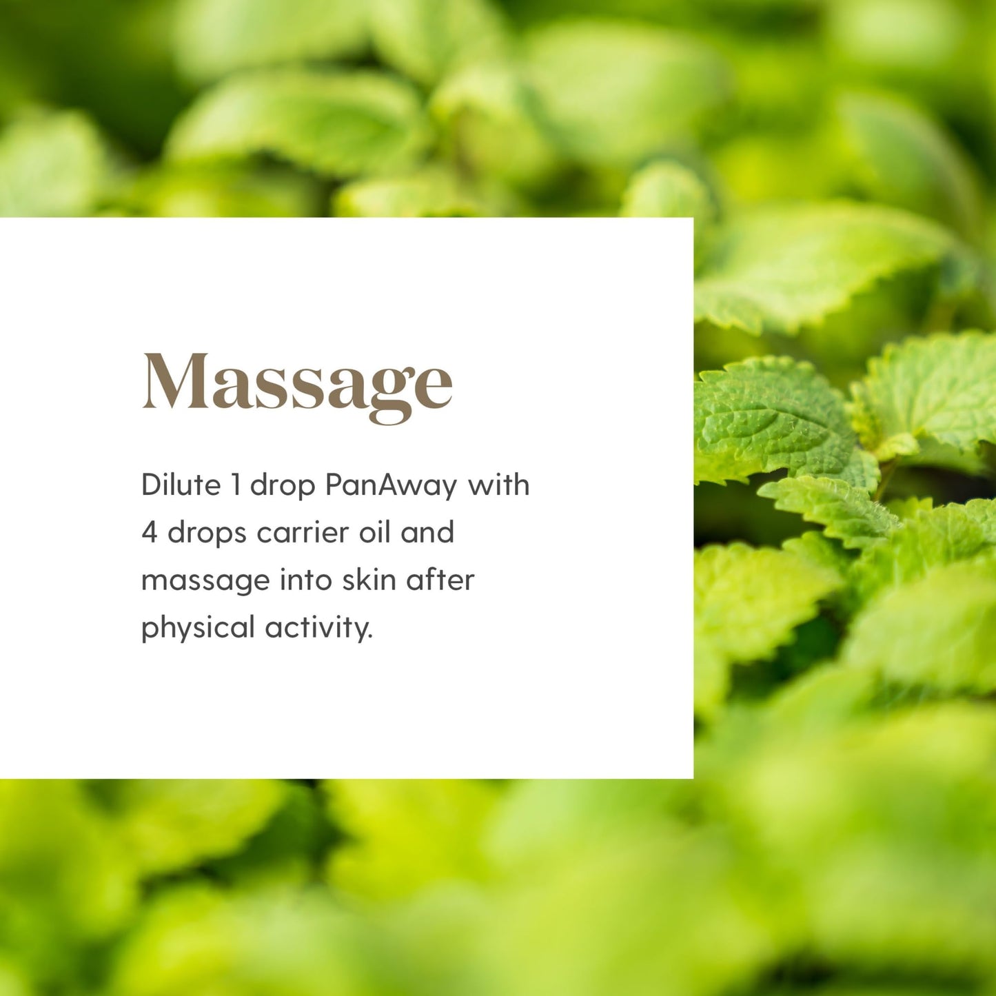 PanAway 5ml Essential Oil by Young Living Essential Oils | Post-Workout Refresh & Invigorating Aroma