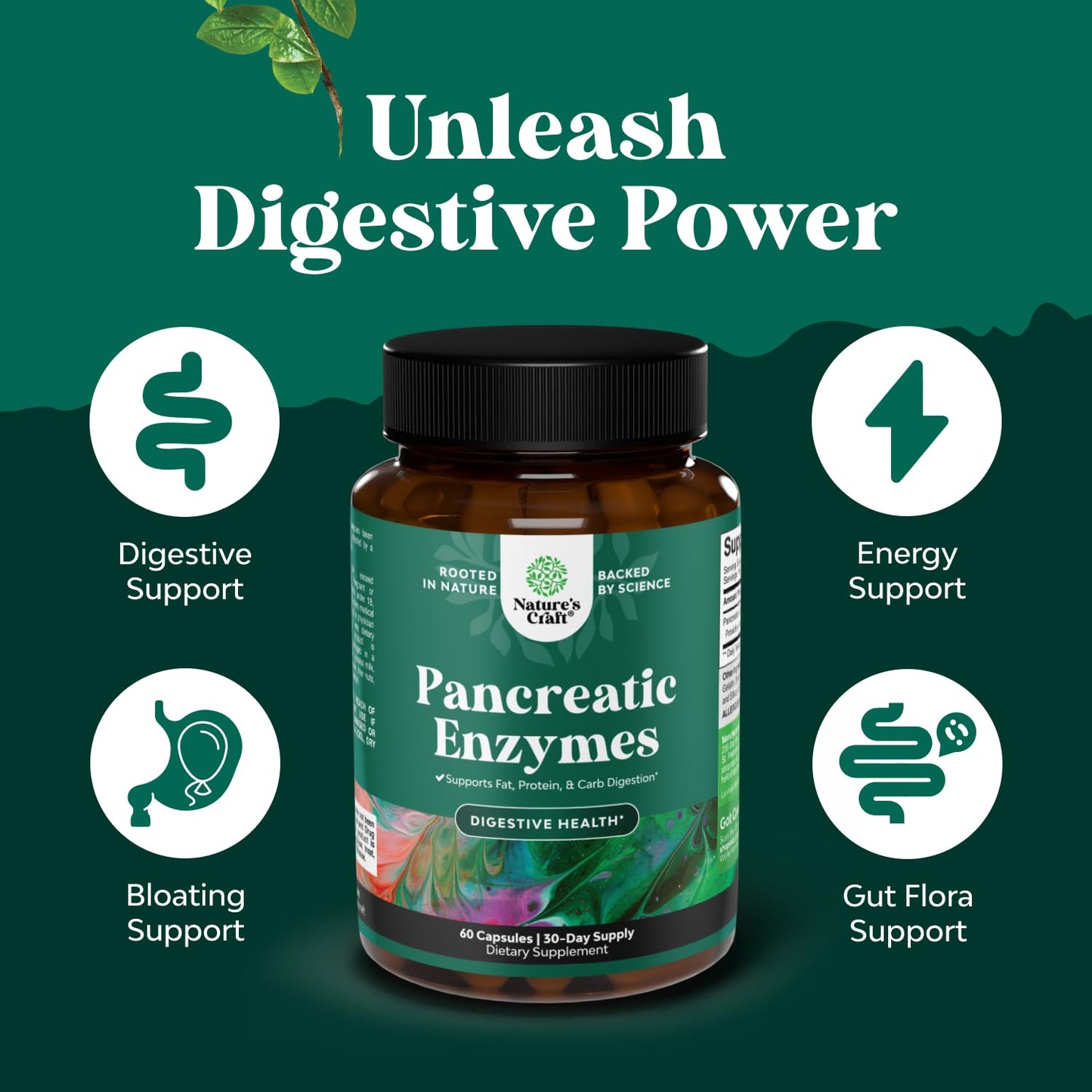 Pancreatin Digestive Enzymes for Gut Health - 60 Count (Protease, Lipase & Amylase)