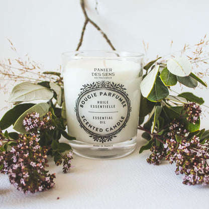 Panier des Sens Verbena Candle – Hand-Poured in Provence, 55h Burn Time, 6.3 oz