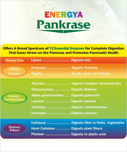 PANKRASE | Physician-Trusted Digestive Enzymes (12) for Gas & Bloating | Hi-Tech Processing