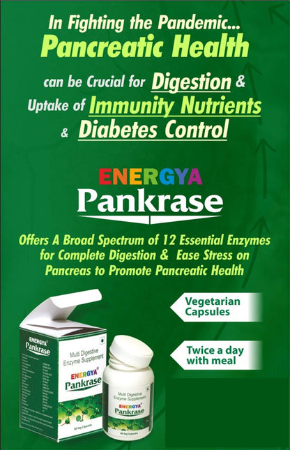 PANKRASE | Physician-Trusted Digestive Enzymes (12) for Gas & Bloating | Hi-Tech Processing