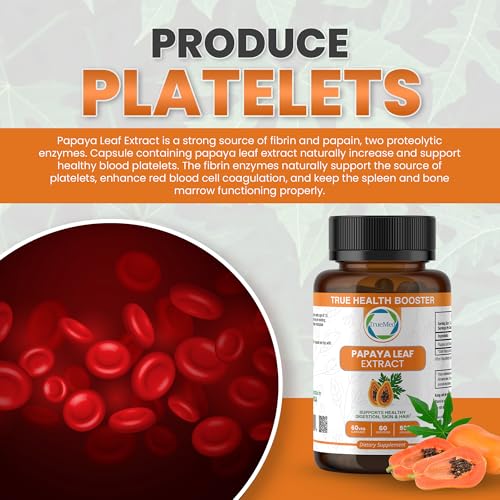 Papaya Leaf Extract 500 mg – 4X Strength, 60 Capsules | Immune Support, Digestion & Antioxidant