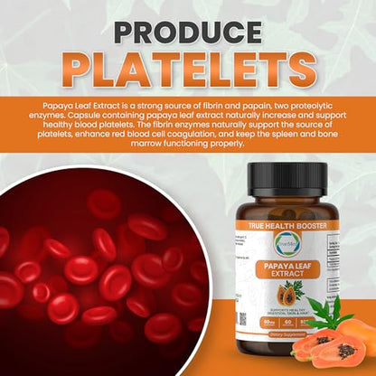 Papaya Leaf Extract 500 mg – 4X Strength, 60 Capsules | Immune Support, Digestion & Antioxidant