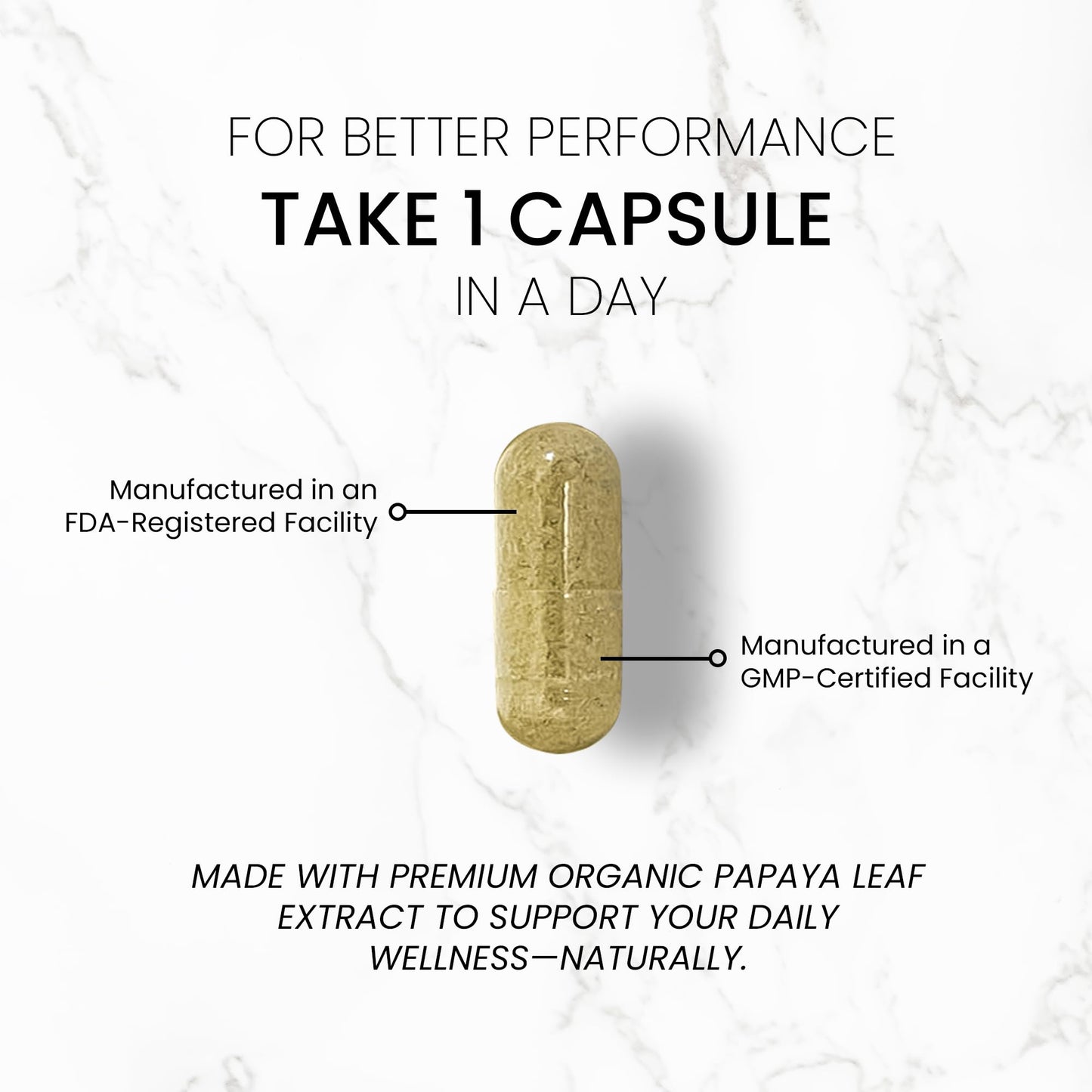 Papaya Leaf Extract 500 mg – 4X Strength, 60 Capsules | Immune Support, Digestion & Antioxidant