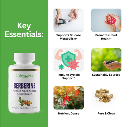 Paradise Herbs Berberine Extract 500 mg – Vegan & Gluten Free (60 capsules)