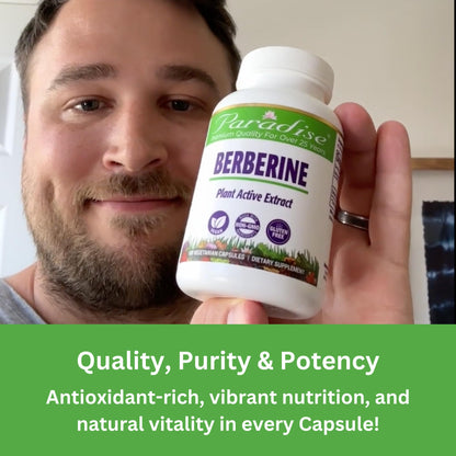 Paradise Herbs Berberine Extract 500 mg – Vegan & Gluten Free (60 capsules)