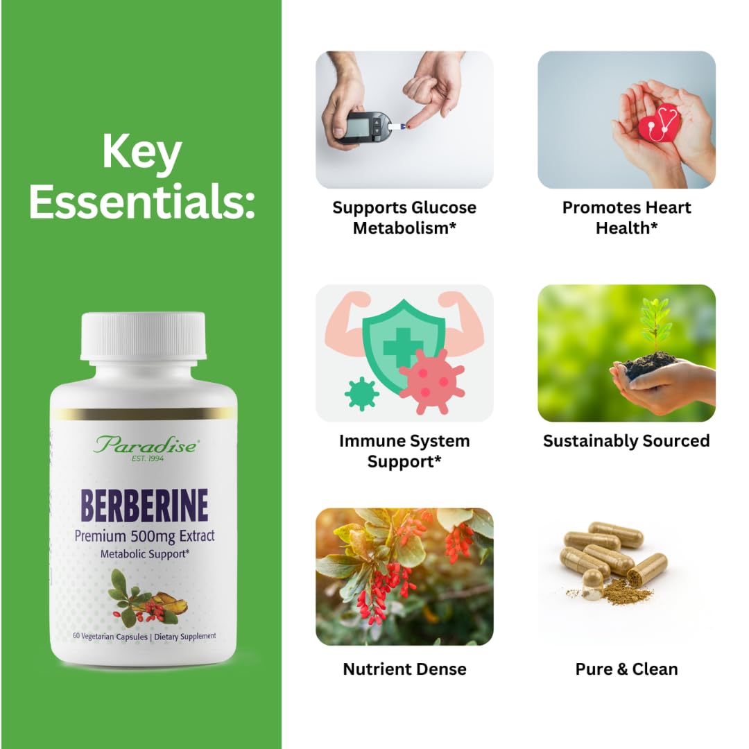 Paradise Herbs Berberine Extract 500 mg – Vegan, Non-GMO, Gluten Free | 60 Veg Capsules (Pack of 2)