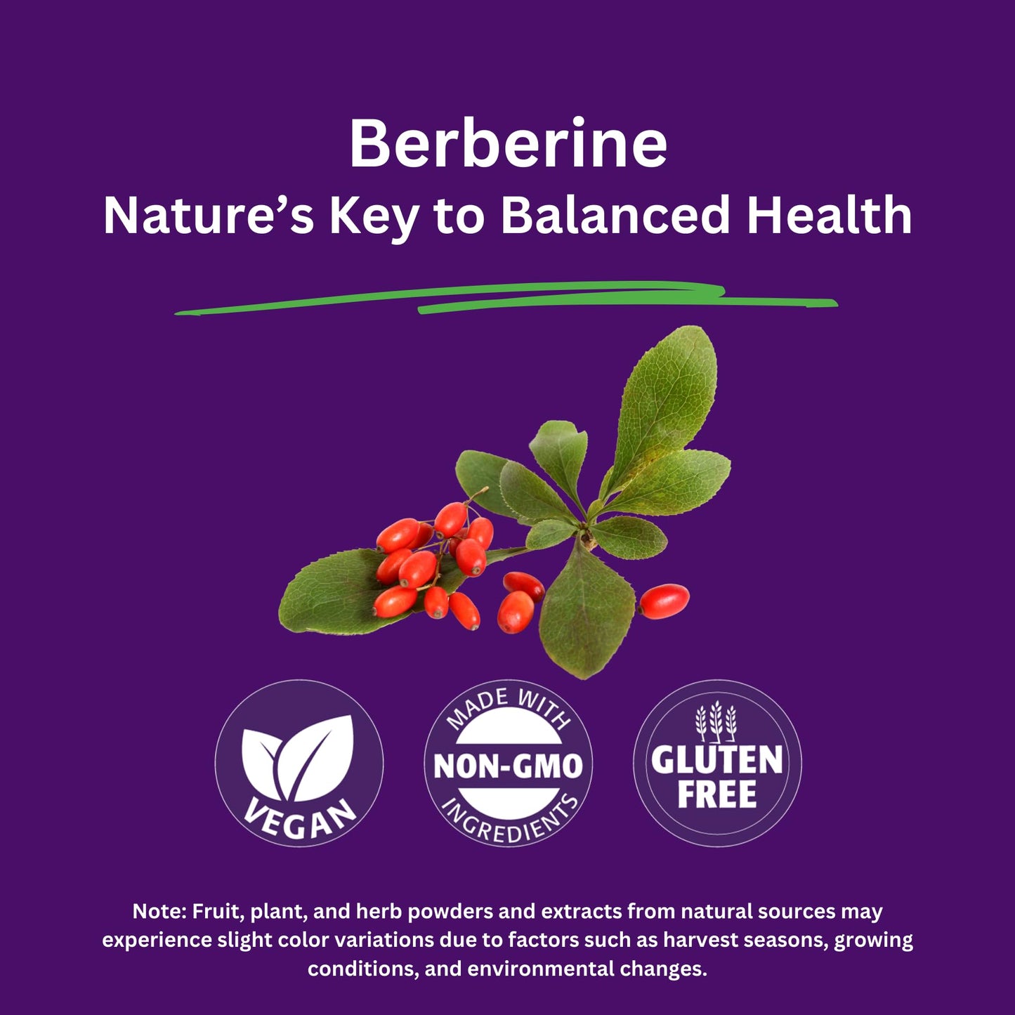 Paradise Herbs Berberine Extract 500 mg – Vegan, Non-GMO, Gluten Free | 60 Veg Capsules (Pack of 2)