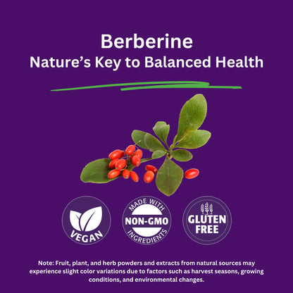 Paradise Herbs Berberine Extract 500 mg – Vegan, Non-GMO, Gluten Free | 60 Veg Capsules (Pack of 2)