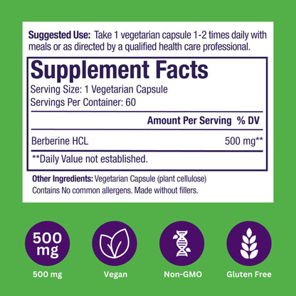 Paradise Herbs Berberine Extract 500 mg – Vegan, Non-GMO, Gluten Free | 60 Veg Capsules (Pack of 2)