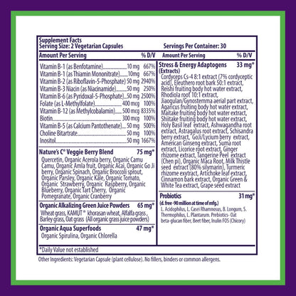 Paradise Herbs Earth's Blend B-Complex | Methylated B Vitamins + Superfoods (60 Caps, Pack of 2)