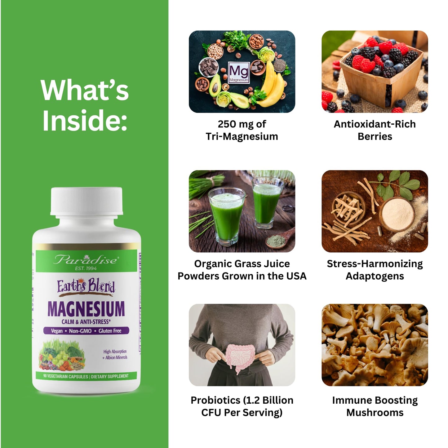 Paradise Herbs Earth's Blend Magnesium Supplement – Stress Relief, Sleep Support, Heart Health, Nerves & Muscles | Vegan, Non-GMO, Gluten Free, 90 Vegetarian Capsules
