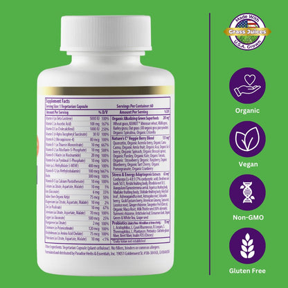 Paradise Herbs Earth's Blend Once Daily Multivitamin for Men – No Iron – 60 Count