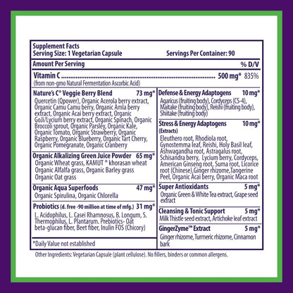 Paradise Herbs Earth's Blend Vitamin C with Nature's C, Adaptogens & Probiotics — ORAC Energy Greens Base, 90 Veg Capsules (Pack of 2)
