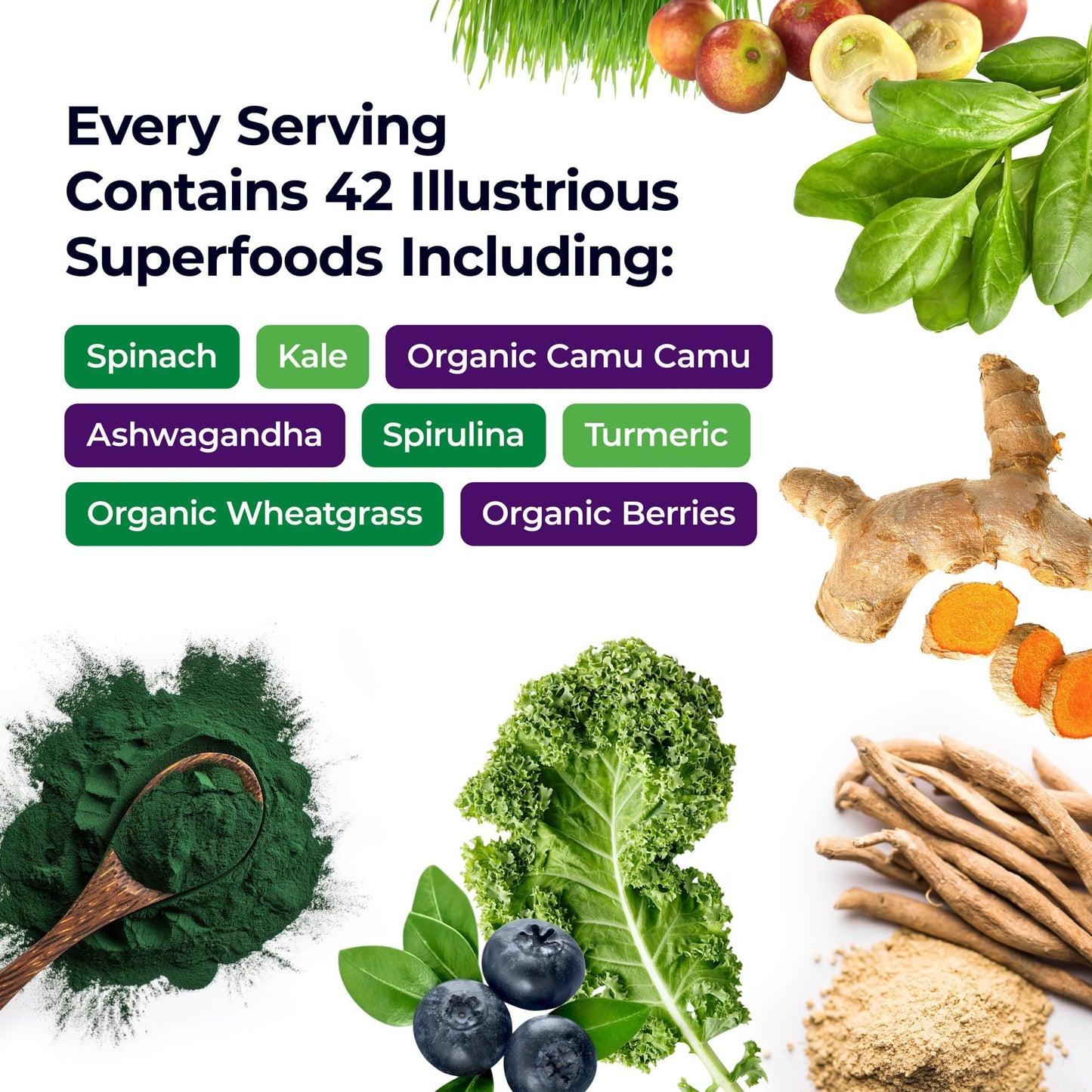 Paradise Herbs ORAC Energy Greens, Berry Superfood Powder, Over 40,000 ORAC Antioxidants, Organic Greens, Berries, Mushrooms & Probiotics, Non-GMO, Gluten-Free, 25 Servings