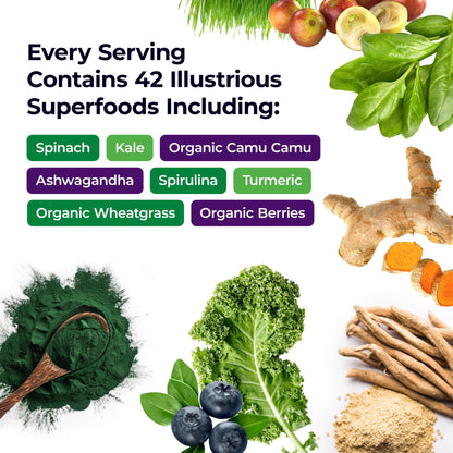 Paradise Herbs ORAC Energy Greens Powder | Antioxidant Power of 24 Fruits & Veggies per Scoop | 15 Servings