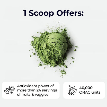 Paradise Herbs ORAC Energy Greens Powder | Antioxidant Power of 24 Fruits & Veggies per Scoop | 15 Servings