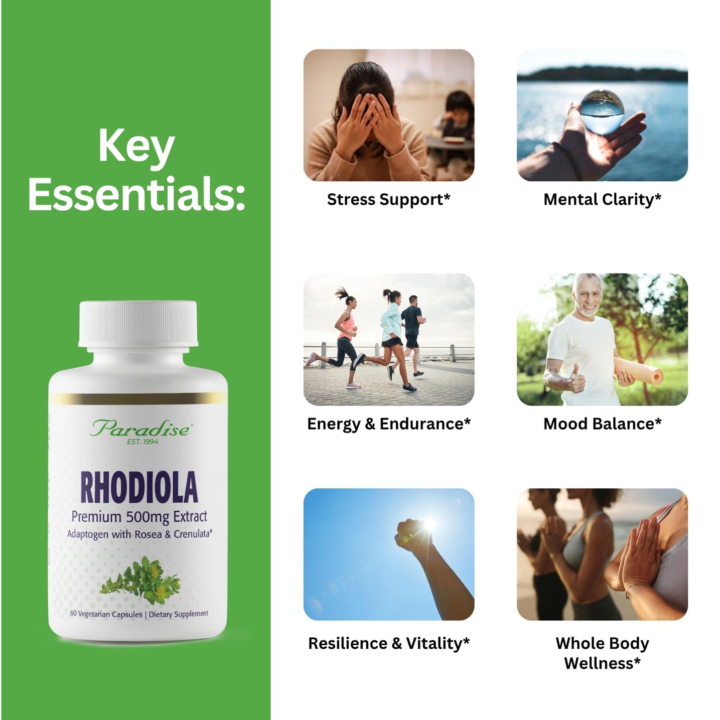 Paradise Herbs Rhodiola Extract 500mg | Ultra Pure, Vegan, Non-GMO, Gluten Free – 60 Vegetarian Capsules