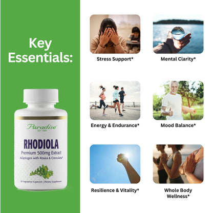 Paradise Herbs Rhodiola Extract 500mg | Ultra Pure, Vegan, Non-GMO, Gluten Free – 60 Vegetarian Capsules