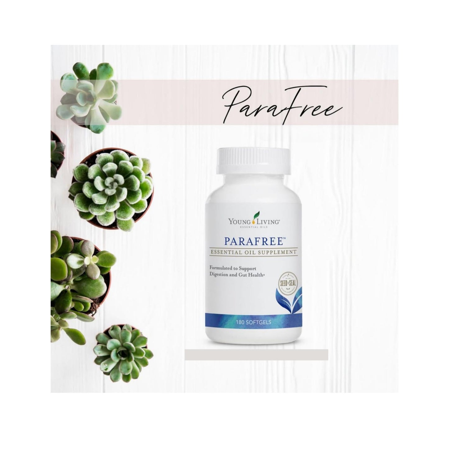 Young Living ParaFree Softgels 180 ct | Digestive Health Support & Advanced Essential Oil Blend