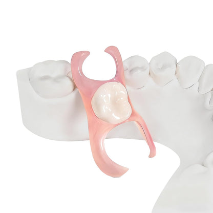 Partial Dentures - Custom Removable Tooth Replacement for Missing Teeth (1 Tooth)