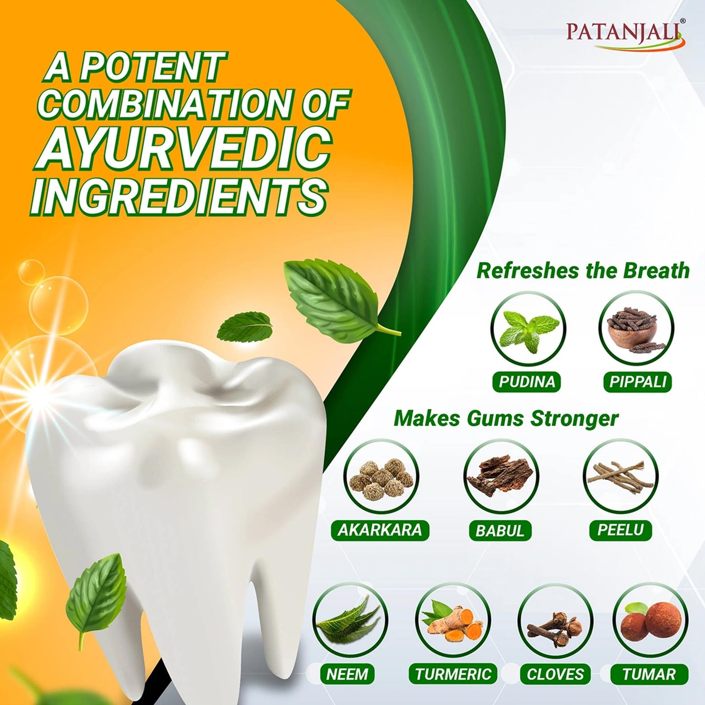 Patanjali Dant Kanti Toothpaste – Natural Herbal Ayurvedic Toothpaste
