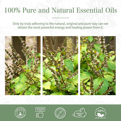 Patchouli Essential Oil 100ml – PHATOIL Pure Aromatherapy for Diffuser & DIY