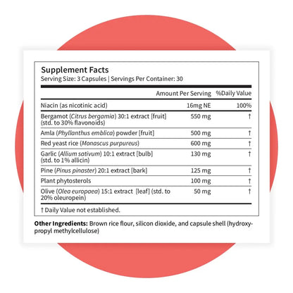 Pattern Wellness Cholesterol Complex – 90 Vegan Capsules | 3rd-Party Lab Tested BritishVita | Premium UK Vitamins & Wellness Supplements