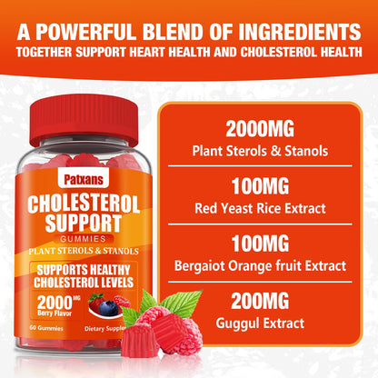 Patxans 1 Pack Cholesterol Support Gummies – 2000mg Plant Sterols & Stanols | Cholesterol Support, Mixed Berry, 60 Count