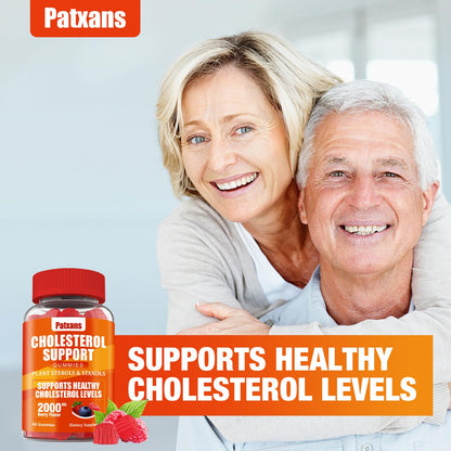 Patxans 1 Pack Cholesterol Support Gummies – 2000mg Plant Sterols & Stanols | Cholesterol Support, Mixed Berry, 60 Count