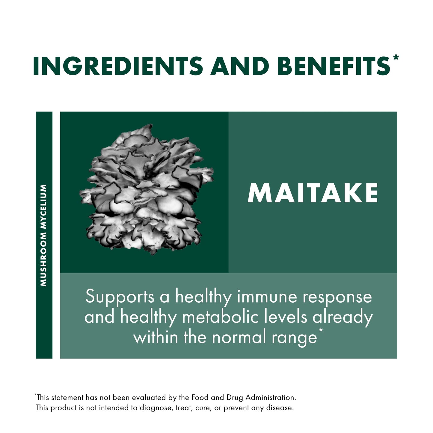 Host Defense Maitake Extract - Immune & Cellular Health Support - 1 oz (30 Servings)