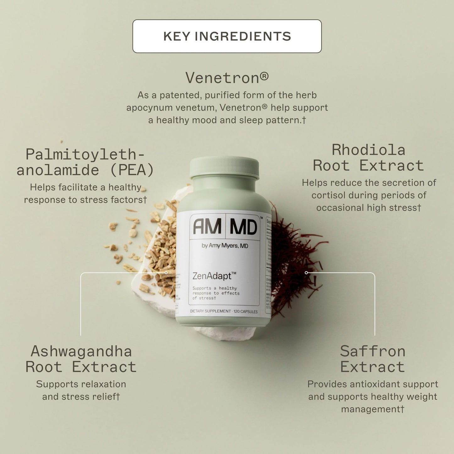 Amy Myers MD ZenAdapt – Stress Relief & Cortisol Balance | Adaptogenic Capsule