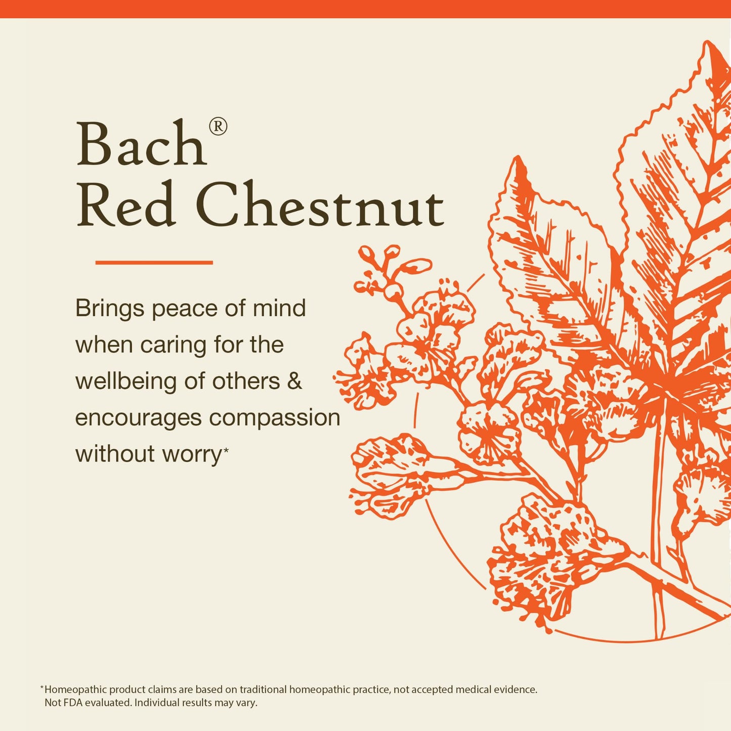 Bach Red Chestnut – Peace of Mind | Natural Homeopathic Flower Remedy (20 mL Dropper)