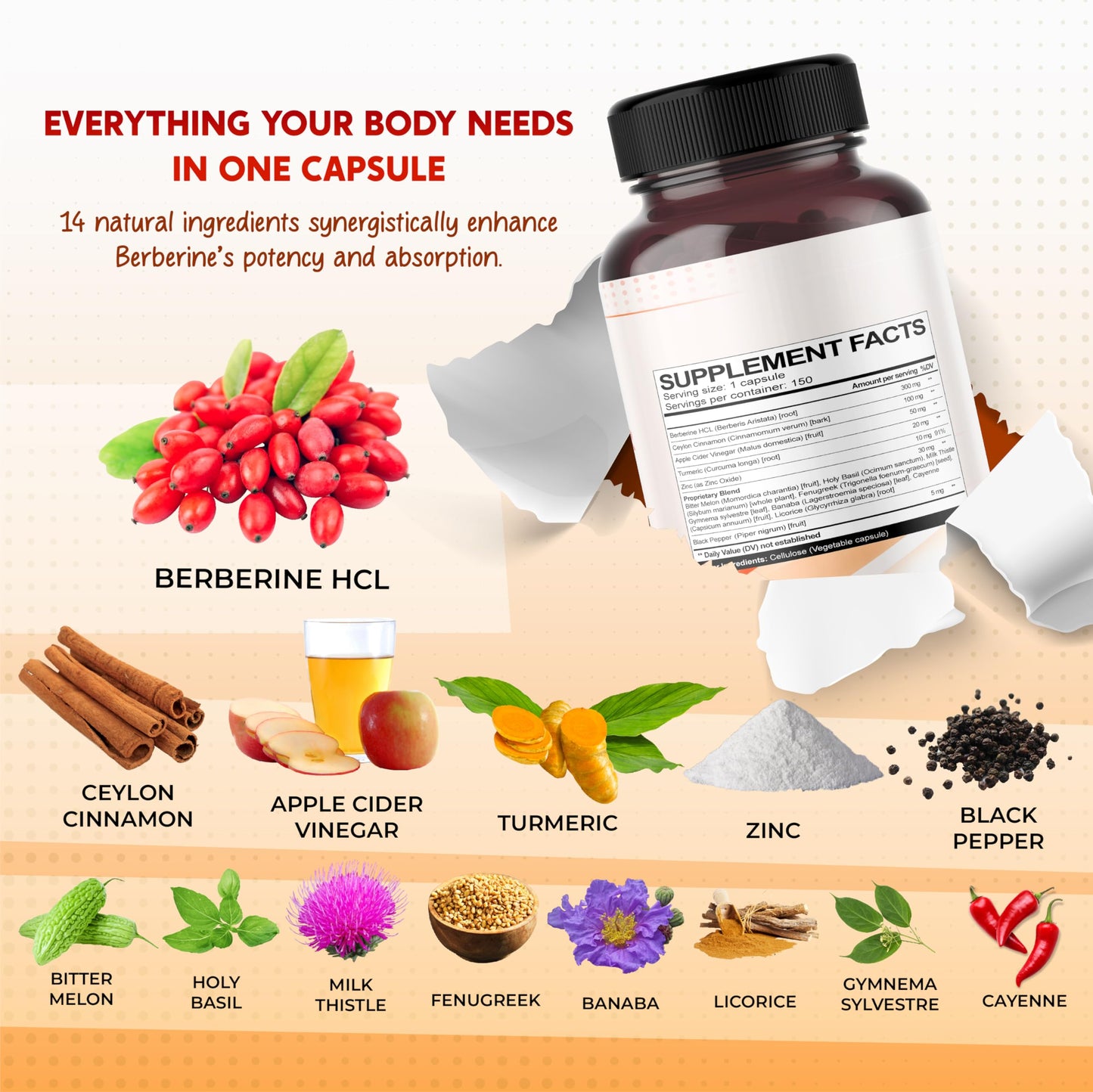 PEAKPURY Berberine Cinnamon ACV Turmeric – Wellness Support – Made in USA