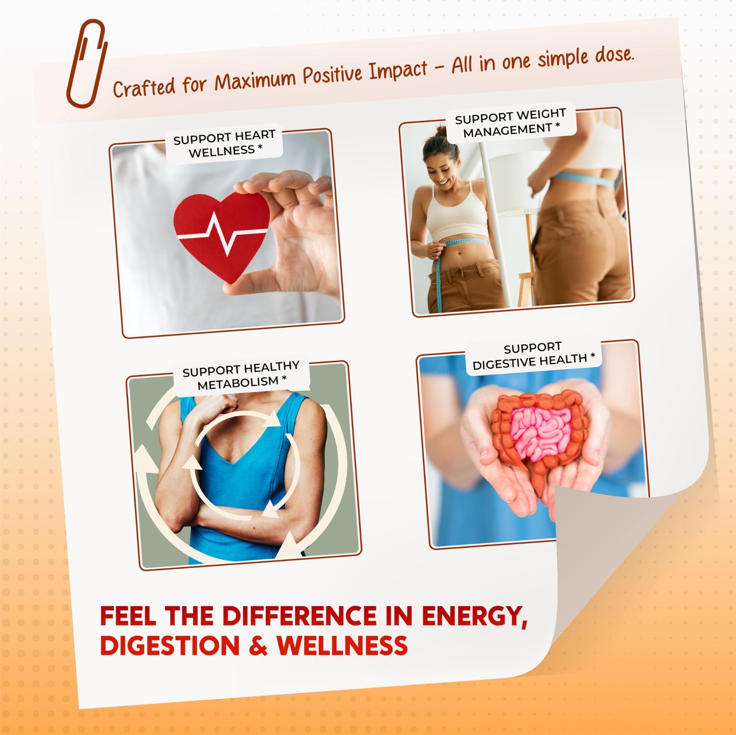 PEAKPURY Berberine Cinnamon ACV Turmeric – Wellness Support – Made in USA
