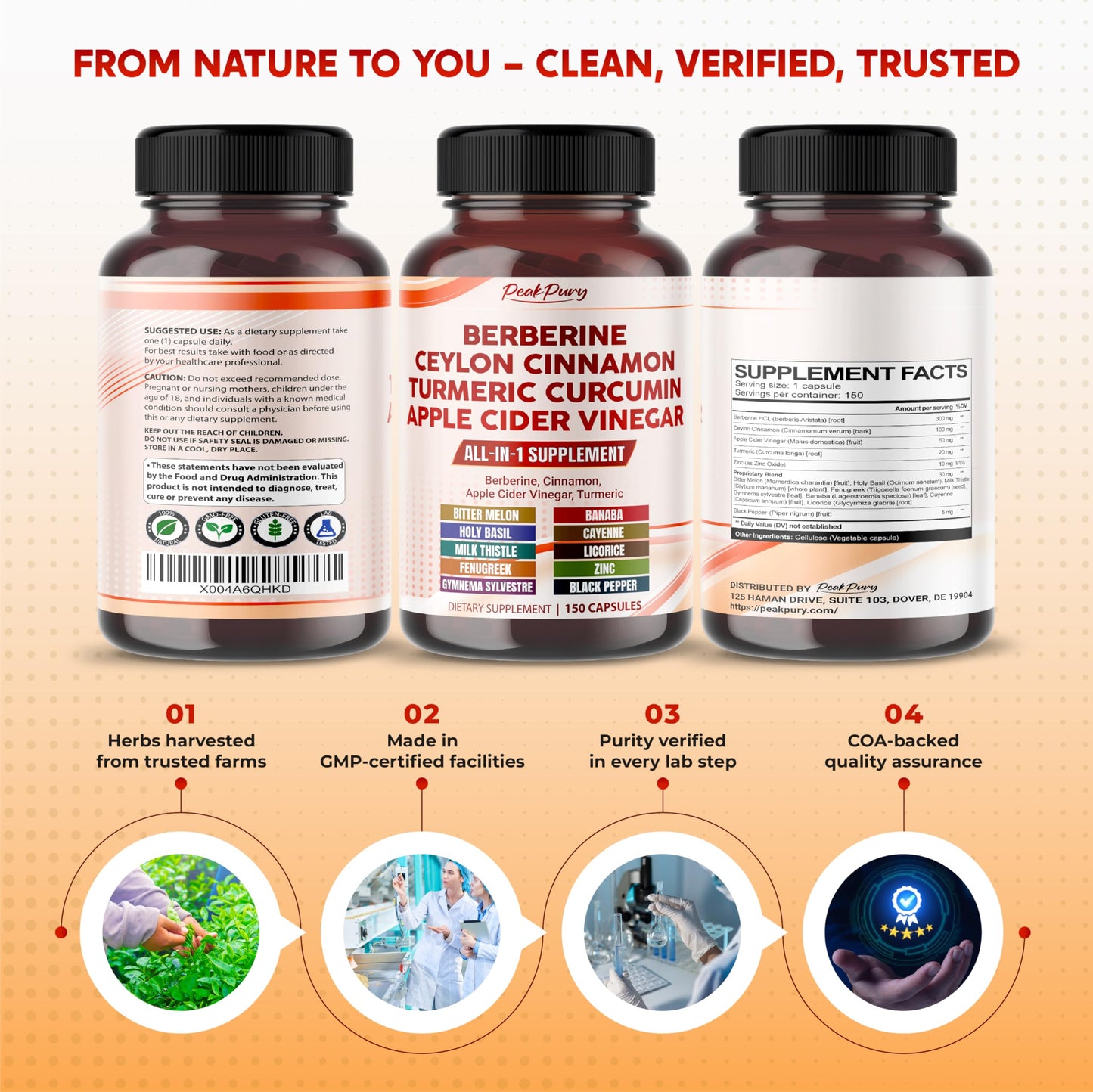 PEAKPURY Berberine Cinnamon ACV Turmeric – Wellness Support – Made in USA