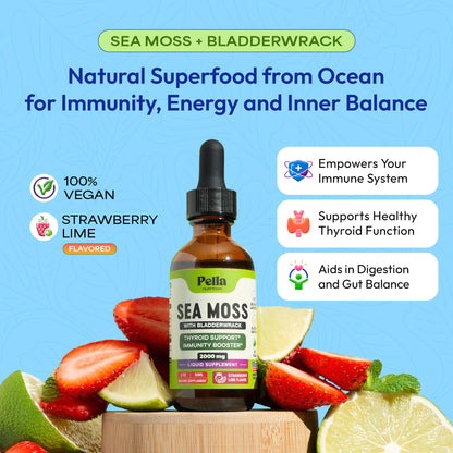 Pella Nutrition Sea Moss Drops with Bladderwrack – 4X Faster Absorption | Digestive & Immune Support | Strawberry Lime 60mL