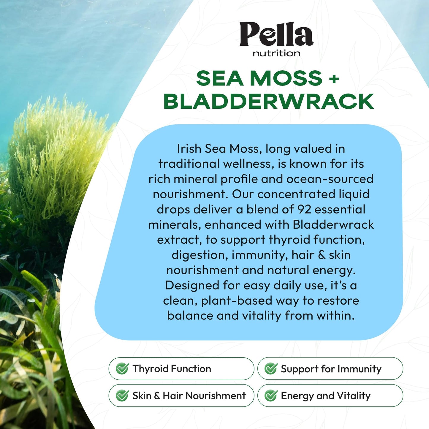 Pella Nutrition Sea Moss Drops with Bladderwrack – 4X Faster Absorption | Digestive & Immune Support | Strawberry Lime 60mL