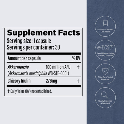 Pendulum Akkermansia Probiotic with Prebiotic Fiber – Delayed-Release Capsules | 100M AFU Live Strain for Gut Health & GLP-1 Support (90 Capsules)